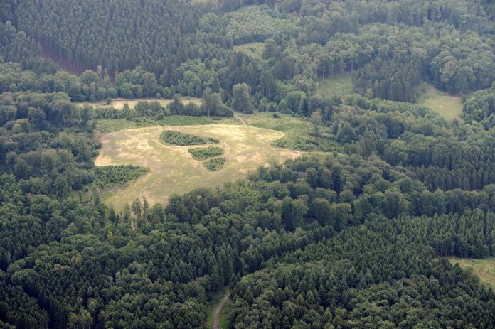 In der Langenheide - Steins Heide FFSN-5301