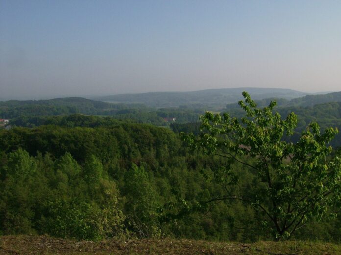 WesterbeckerBergAussicht (Lienen)